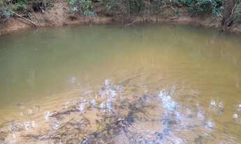 Imagem 5: Excelente oportunidade!! Vendo chácara de 2.2he escriturada e registrada no Bonsucesso