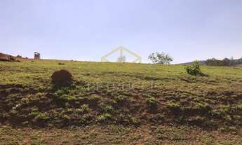 Imagem 2: Terreno - Rodovia - Morungaba