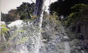 Imagem 2: Terreno em Teresópolis