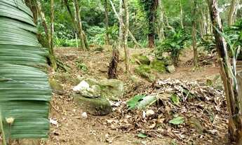 Imagem 5: Toque Toque Grande - terreno perto da mata atlântica. estuda permuta