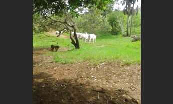 Imagem 4: Fazenda em Santa Tereza sentido Ponte Alta