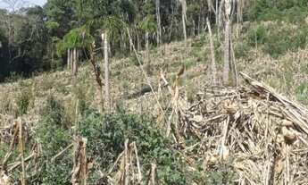 Imagem 5: Fazenda/Sítio/Chácara para venda em Cai de baixo - Quitandinha - Paraná