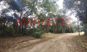 Imagem 3: Em Serra Da Cantareira