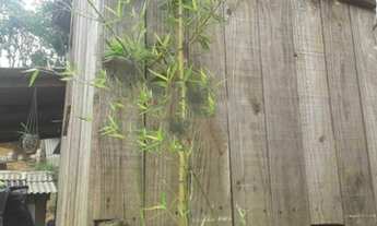 Imagem 2: Chácara à venda no bairro Brilhante II em Itajaí