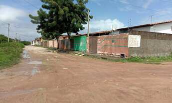 Imagem 5: VENDE SE UM TERRENO EM MASSARANDUBA Ceará Mirim