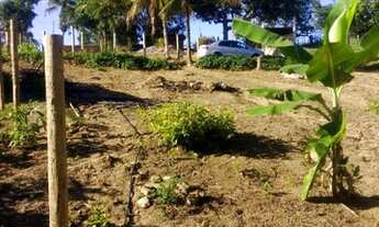 Imagem 4: Chácara em Pedro palácio Ibiraçu