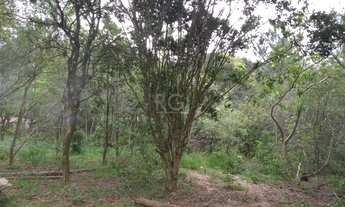 Imagem 4: Area em Belém Velho