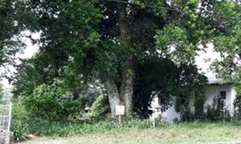 Imagem 4: Terreno à venda, 585 m² por R$ 490.000 - Vila Juriti - Nova Petrópolis/RS