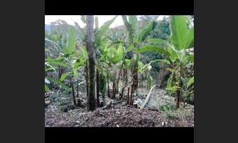 Imagem 4: Vendo terreno no Rio pequeno 15 min de Paraty