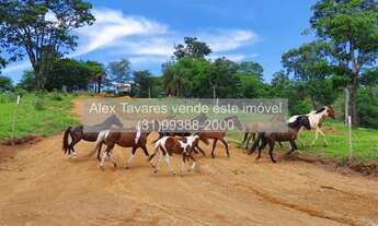 Imagem: Oportunidade. Haras em Condomínio Rural