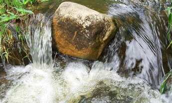 Imagem 3: Chacara em Natividade da Serra SP, apenas 7 km do centro da cidade