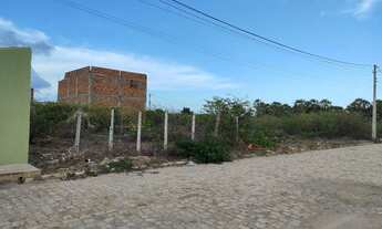 Imagem 5: Verde terreno em Tibau