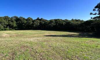 Imagem 5: Lote/terreno à venda em Marau