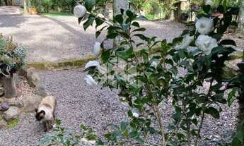 Imagem 6: NOVA HARTZ - Chácara - Zona Rural