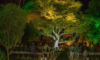 Imagem 7: Casa de Eventos - Licenciada - 1.100m², atende 400 pessoas - área de 15.000m²