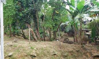 Imagem 2: Toque Toque Grande - terreno perto da mata atlântica. estuda permuta