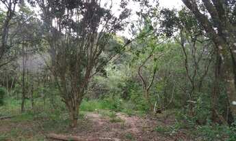 Imagem 6: Area em Belém Velho