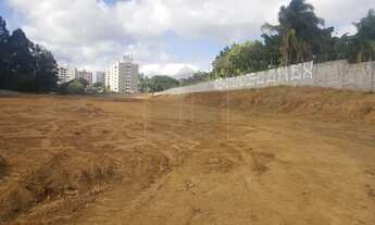 Imagem 2: área - Parque Camélias - Campinas