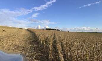 Imagem 2: Porto Amazonas - 389 Hectares - Plantando 90 Alqueires - Com Sede Completa