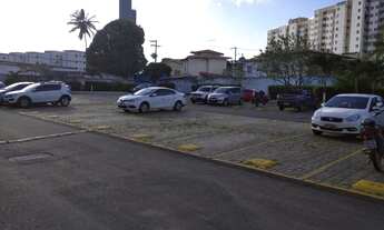 Imagem 4: Alugo Jardim das Margaridas