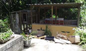 Imagem 6: Chácara, com fogão de lenha e aprisco - São Gonçalo - RJ (Sítio