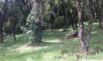 Imagem 2: Terreno no Condomínio Altos Pinheiros em Canela!