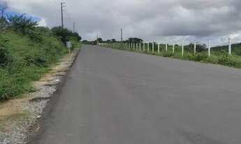 Imagem 3: Lote/Terreno para venda com 250 metros quadrados em Cruzeiro - Gravatá - PE