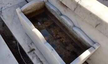 Imagem 6: Jazigo Perpétuo São João Batista