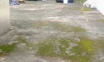 Imagem 2: TERRENO - PLANALTO PAULISTA - SP