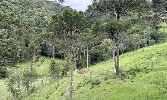 Imagem 7: Fazenda/Sítio/Chácara/Terreno à venda em Urubici/SC