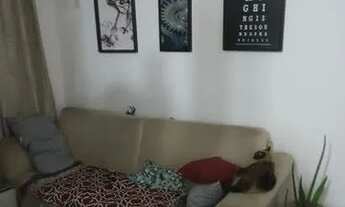 Imagem 6: Casa com 4 dormitórios à venda, 170 m² por R$ 460.000,00 - São Luiz (Polvilho) - Cajamar/S