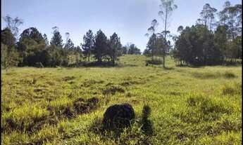 Imagem 7: Área pasto 20.000m2 COCUERA
