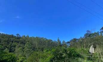 Imagem 7: Petrópolis - Terreno Padrão - Itaipava