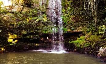 Imagem 3: Terreno nível da rua *Condomínio