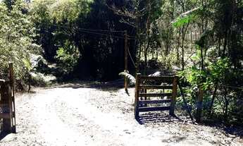 Imagem 2: Sítio à venda 2 quartos em Massaranduba bairro Primeiro Braço Do Norte R$ 580.000,01