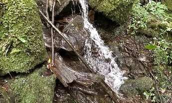 Imagem 2: Fazenda/Sítio/Chácara/Terreno à venda em Urubici/SC