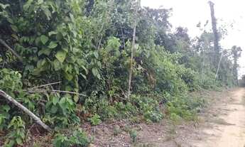 Imagem 2: Terreno no lago do limão