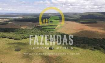 Imagem 3: Fazenda a venda com 2.719 alqueires na região de Três Marias, MG