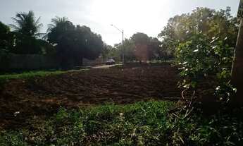 Imagem 2: Lote Comercial para venda com 381 m2 - 1005 Sul