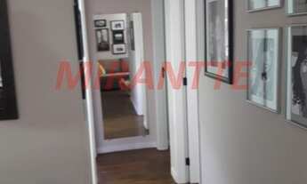 Imagem 3: Lindo apartamento em Parque Mandaqui