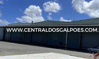 Imagem: Galpão/Depósito/Armazém para aluguel