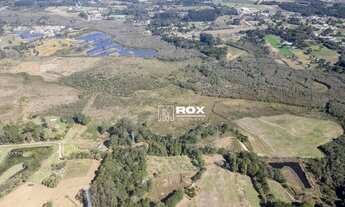 Imagem 6: Terreno Industrial à venda, 268.837 m² por R$ 20.432.000 - Roseira, São José dos Pinhais/P