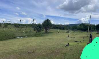 Imagem 3: Vende-se fazenda porteira fechada em mucajai