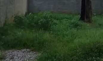 Imagem 4: Vendo terreno em Campo grande