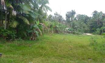 Imagem 5: Vende se terreno medindo 100x150m