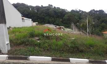 Imagem 7: Lote em Alameda Serra da Cantareira - Canjica (Terra Preta) - Mairiporã/SP