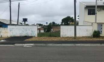 Imagem 5: Terreno Aluguel Jardim Primavera