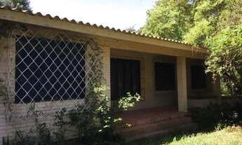 Imagem 3: Ótima morada com figueira e casa ampla