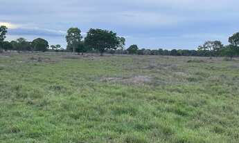 Imagem 7: 237 alqueires em Nova Crixás-Go