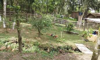 Imagem 6: Sítio taquara Chácara com venda por R$54.000